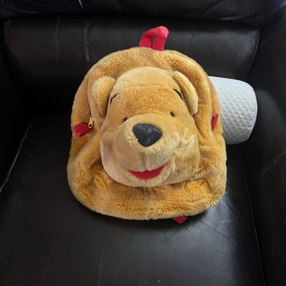 Disney Winnie the Pooh